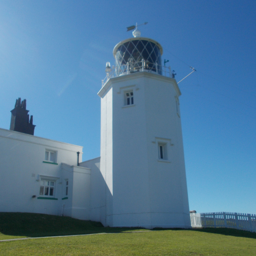 Lizard-Lighthouse-Altenative-Mix