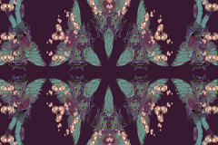 Away-With-The-Faires