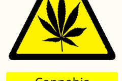 Cannabis-Smoker