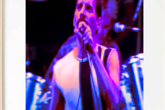 Freddie-Mecury
