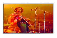 Jimmi-Hendrix