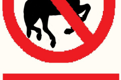 No-Galloping