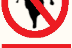No-Legged-Pirates