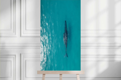Whale-Of-A-Time
