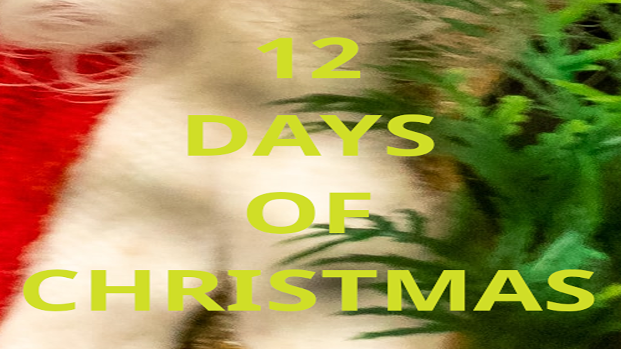 12-DAYS-OF-CHRISTMAS-COVER-1 (2)