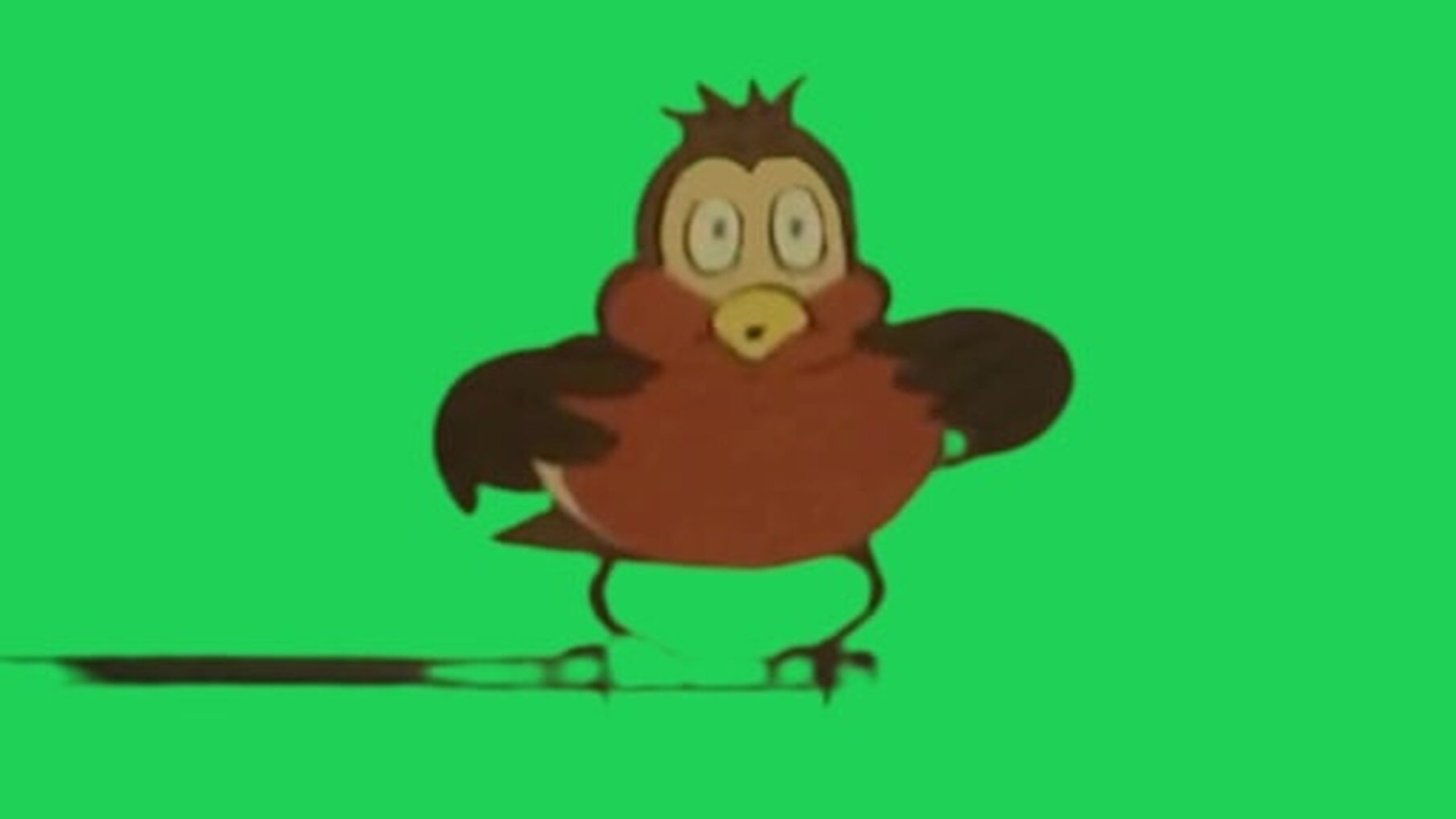 1 (1)