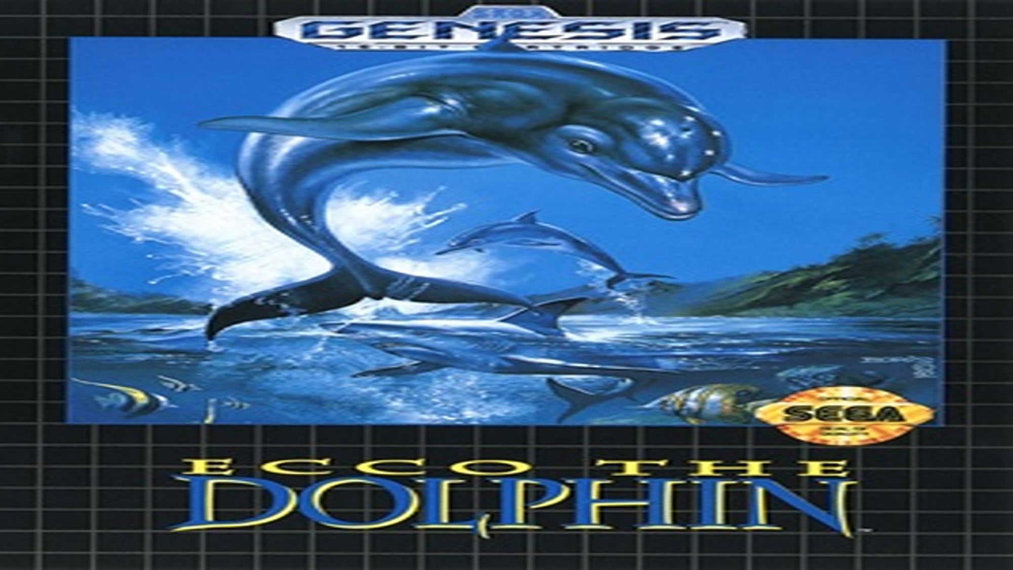 Ecco-cover (1)